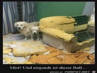 Sofa kaputt und kein Ball in Sicht