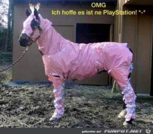 Das-ist-bestimmt-eine-Playstation.jpg auf www.funpot.net