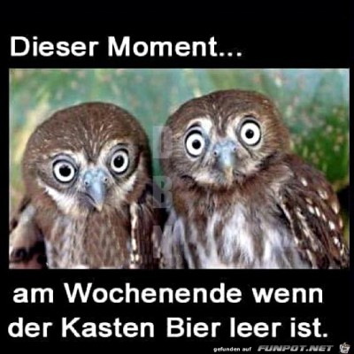 Wenn-der-Kasten-Bier-leer-ist.jpg von Alina