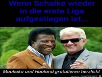 Wenn Schalke aufgestiegen ist