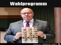 Super Wahlprogramm