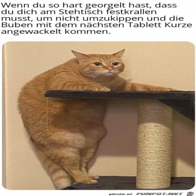 Am-Stehtisch-festkrallen.jpg von Emilia