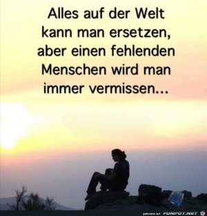 Einen-Menschen-kann-man-nicht-ersetzen.jpg auf www.funpot.net