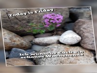 Freitag schnes Wochenende.Despina