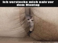 Vor dem Montag verstecken