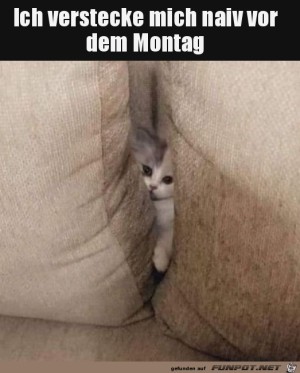 Vor-dem-Montag-verstecken.jpg auf www.funpot.net