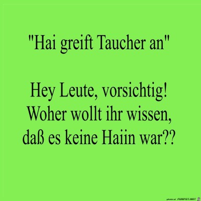 haiin.jpg von kuddel56