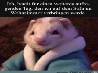 Tag auf der Couch