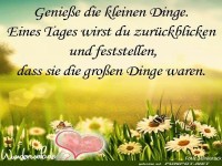 Geniee die kleinen Dinge 1