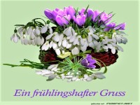 Einen frhlingshaften Gru 2