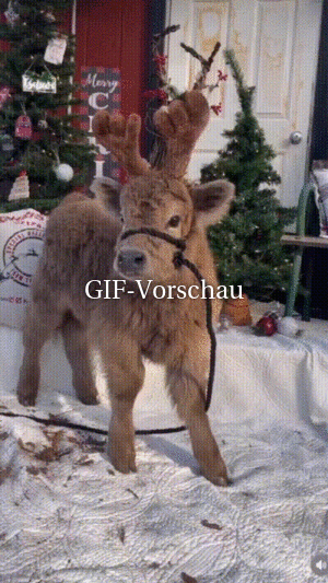 Niedlich verkleidetes Rentier