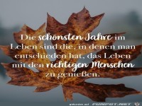 Die schönsten Jahre im Leben