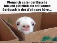 Komisches Ger�usch geh�rt