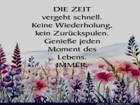 Die Zeit vergeht schnell