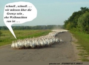 fun-Bild: Schnell weg