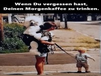 Morgenkaffee vergessen? Kuriose Morgenroutine