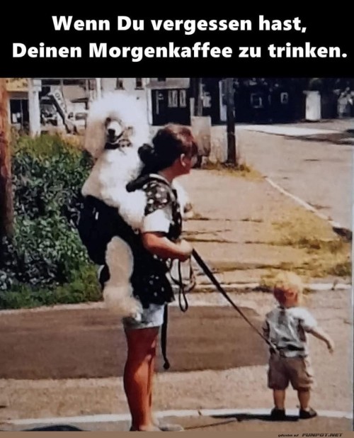 Morgenkaffee-vergessen?-Kuriose-Morgenroutine.jpg auf www.funpot.net