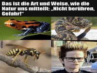 Warnung vor Gefahren in der Natur