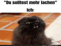 Lustige Katze mit schiefem Lachen