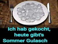 Sommer Gulasch serviert auf Eis