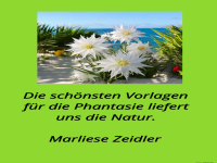 die schnsten vorlagen