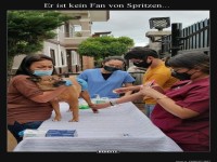 Wenn der Hund zur Drama-Queen wird