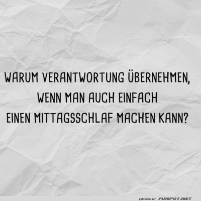 Fragen-eines-Nap-Fans.jpg von Rennschnecke