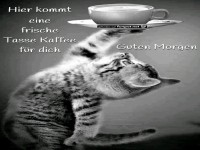 Kaffee fr dich
