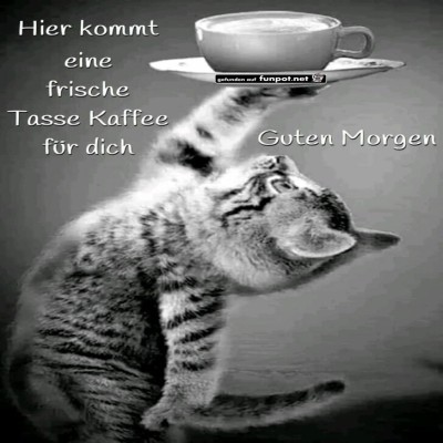 Kaffee-für-dich.jpg von Bela