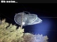 Trampolin: Der neue Vogel der Nacht