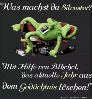 Wenn-Kermit-Silvester-feiert.jpg auf www.funpot.net