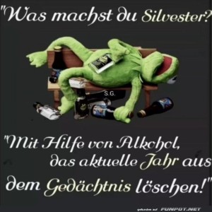 fun-Bild: Wenn Kermit Silvester feiert