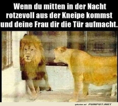 Kneipenabend:-Der-König-trifft-seine-Königin.jpg auf www.funpot.net