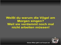 Wei�t du warum die V�gel am Morgen singen?
