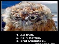 Erst Dienstag