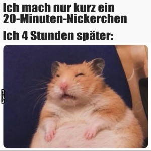 Wenn-das-Nickerchen-spontan-zum-Schlaf-wird.jpg von Sahneschnitte