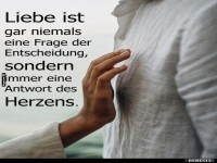 Herzklopfen im Anmarsch: Liebe auf den 1. Blick!