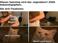 Jugendwort 2026: Katziger Mehrzweck