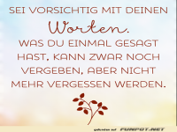 Vorsichtig mit Worten