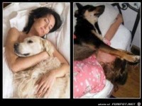 Schlafen im Traum und in Wirklichkeit