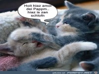 Halt endlich deinen Mund jetzt ist es zum Schlafen