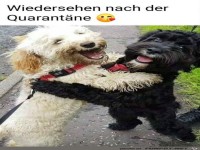 Wiedersehen nach der Quarantne