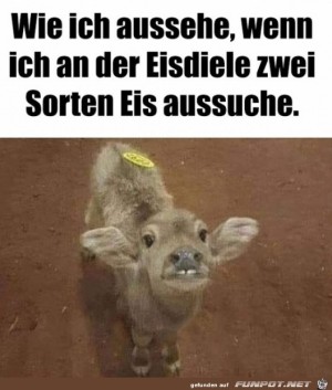 Beim-Eis-bestellen.jpg auf www.funpot.net