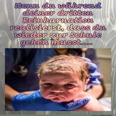 Reinkarnation.jpg von Bonobo666