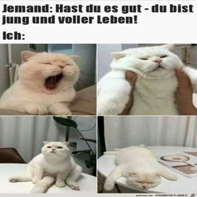 Du-bist-jung-und-fit.jpg von Luis