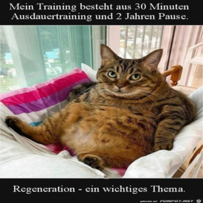 Tolles-Training.jpg von Lou