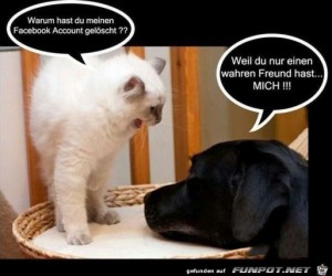 Da-ist-was-dran.jpg auf www.funpot.net
