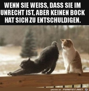 Keine-Lust-sich-zu-entschuldigen.jpg auf www.funpot.net