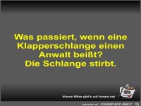 Was passiert, wenn eine Klapperschlange einen Anwalt bei�t?