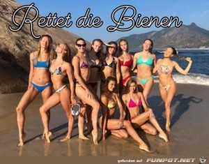 Rettet-die-Bienen.jpg auf www.funpot.net